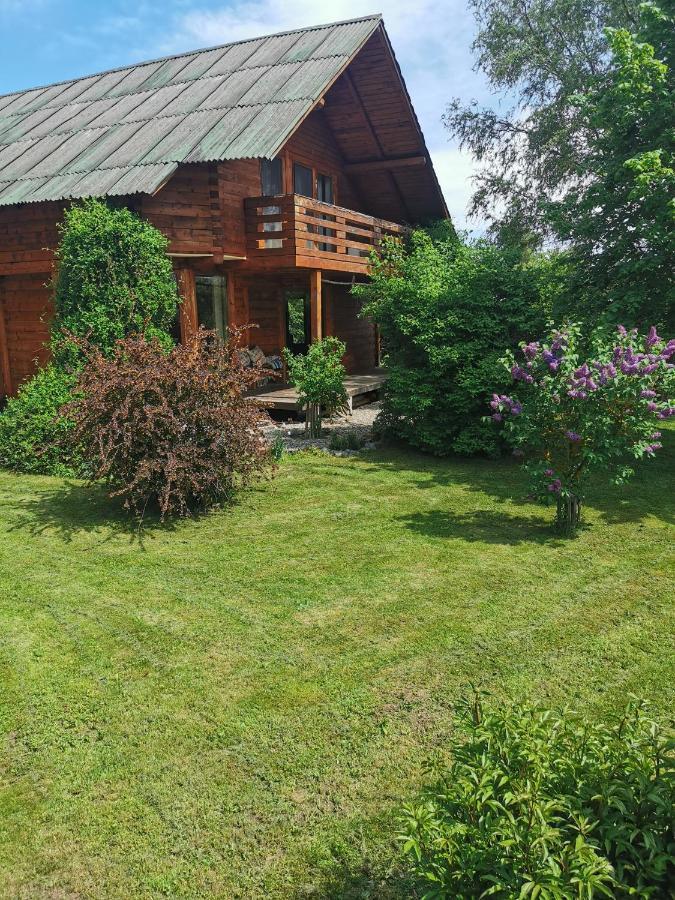 فيلا The Wooden House Moldoveneşti المظهر الخارجي الصورة