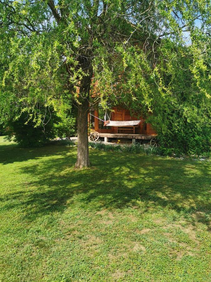 فيلا The Wooden House Moldoveneşti المظهر الخارجي الصورة