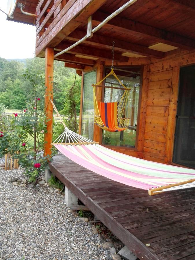 فيلا The Wooden House Moldoveneşti المظهر الخارجي الصورة