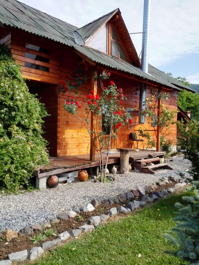 فيلا The Wooden House Moldoveneşti المظهر الخارجي الصورة
