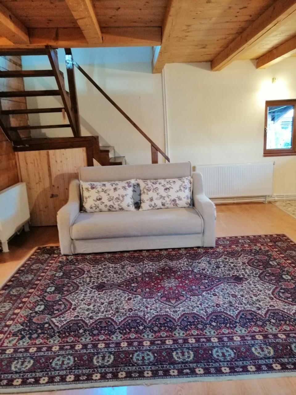 فيلا The Wooden House Moldoveneşti المظهر الخارجي الصورة